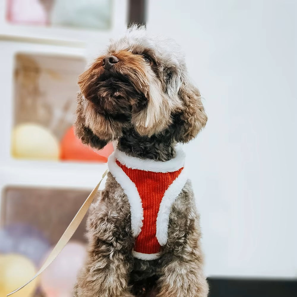 Nina | Hondentuig voor Comfortabele Wandeling-2