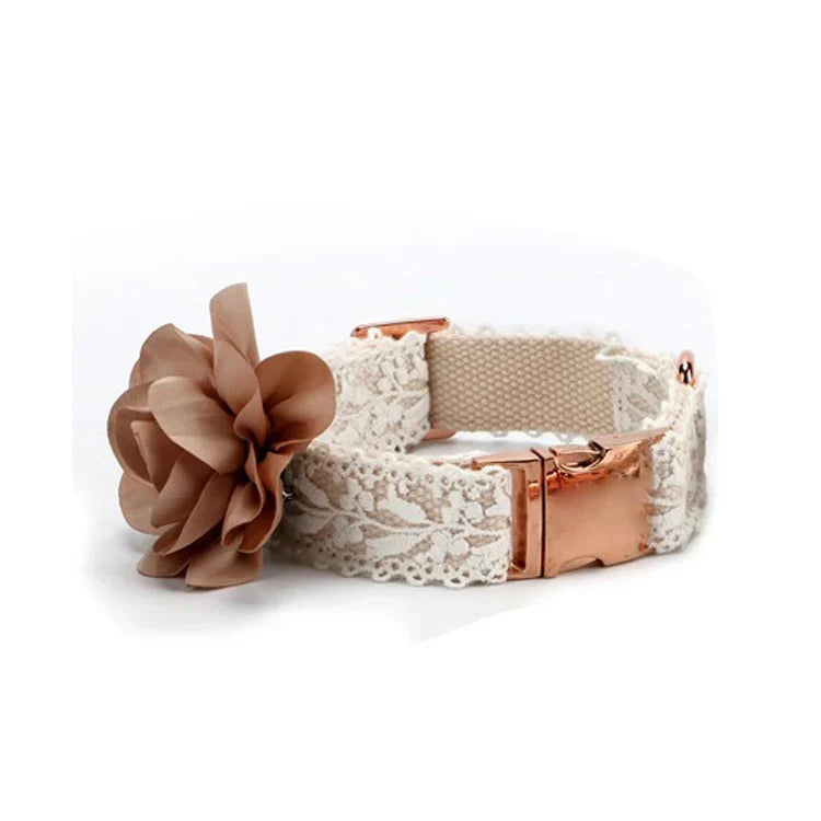 Noa | Luxe Hondenhalsband en Lijnenset