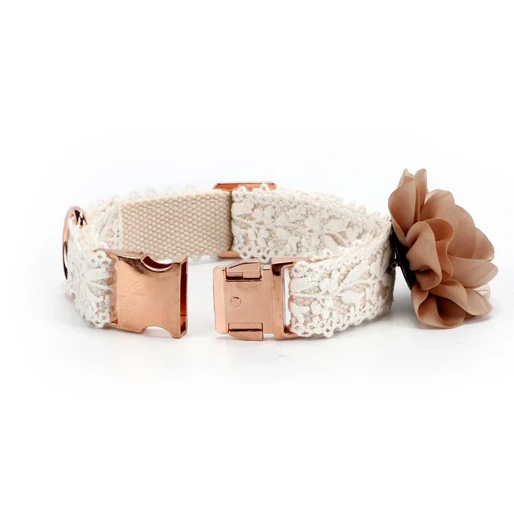 Noa | Luxe Hondenhalsband en Lijnenset