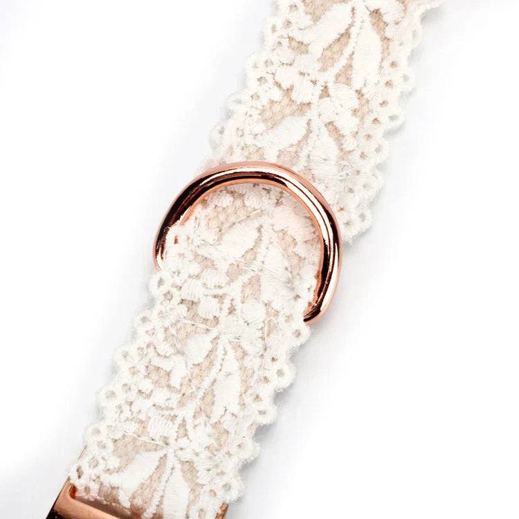 Noa | Luxe Hondenhalsband en Lijnenset