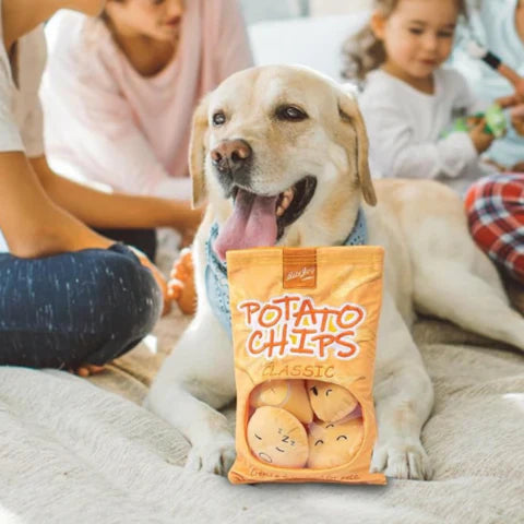 Paco | Kauwspeelgoed voor Actieve Honden