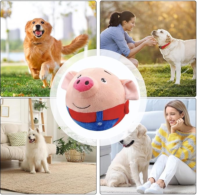 Lenny | interactieve speelbal voor honden-4