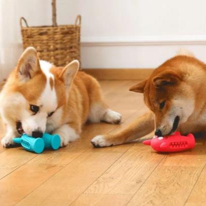 Pippa | Kauwspeelgoed Voor Honden-2