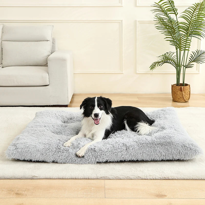 Pluche hondenbed met antislip en opvouwbaar ontwerp | Pawzora