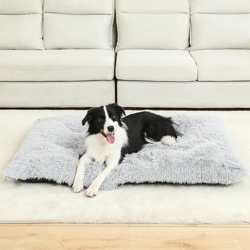 Pluche hondenbed met antislip en opvouwbaar ontwerp | Pawzora