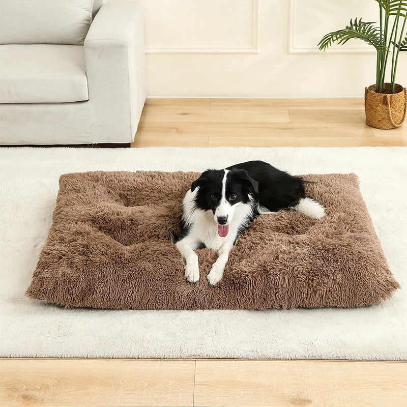 Pluche hondenbed met antislip en opvouwbaar ontwerp | Pawzora