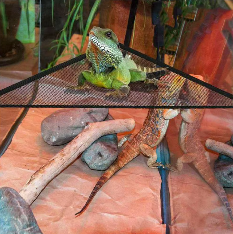 Reepy | Reptielen hangmat met zuignappen – Netligplek voor terrarium en glasoppervlakken