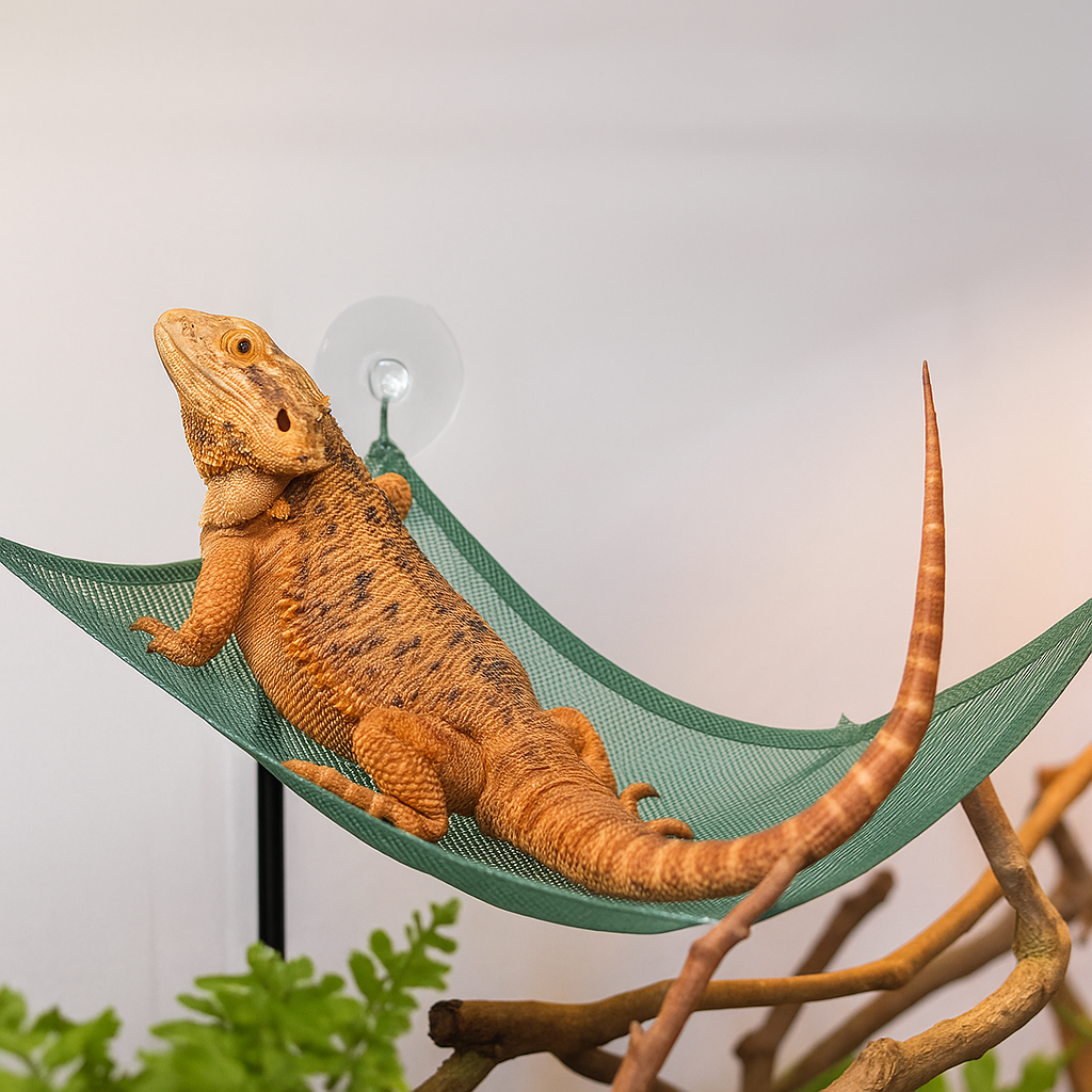 Reepy | Reptielen hangmat met zuignappen – Netligplek voor terrarium en glasoppervlakken