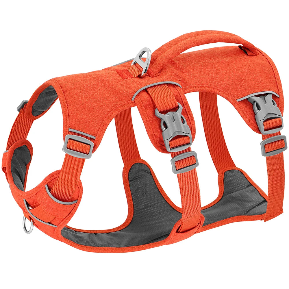 Reflecterend hondentuig voor wandelen en training | PawaVest Pro