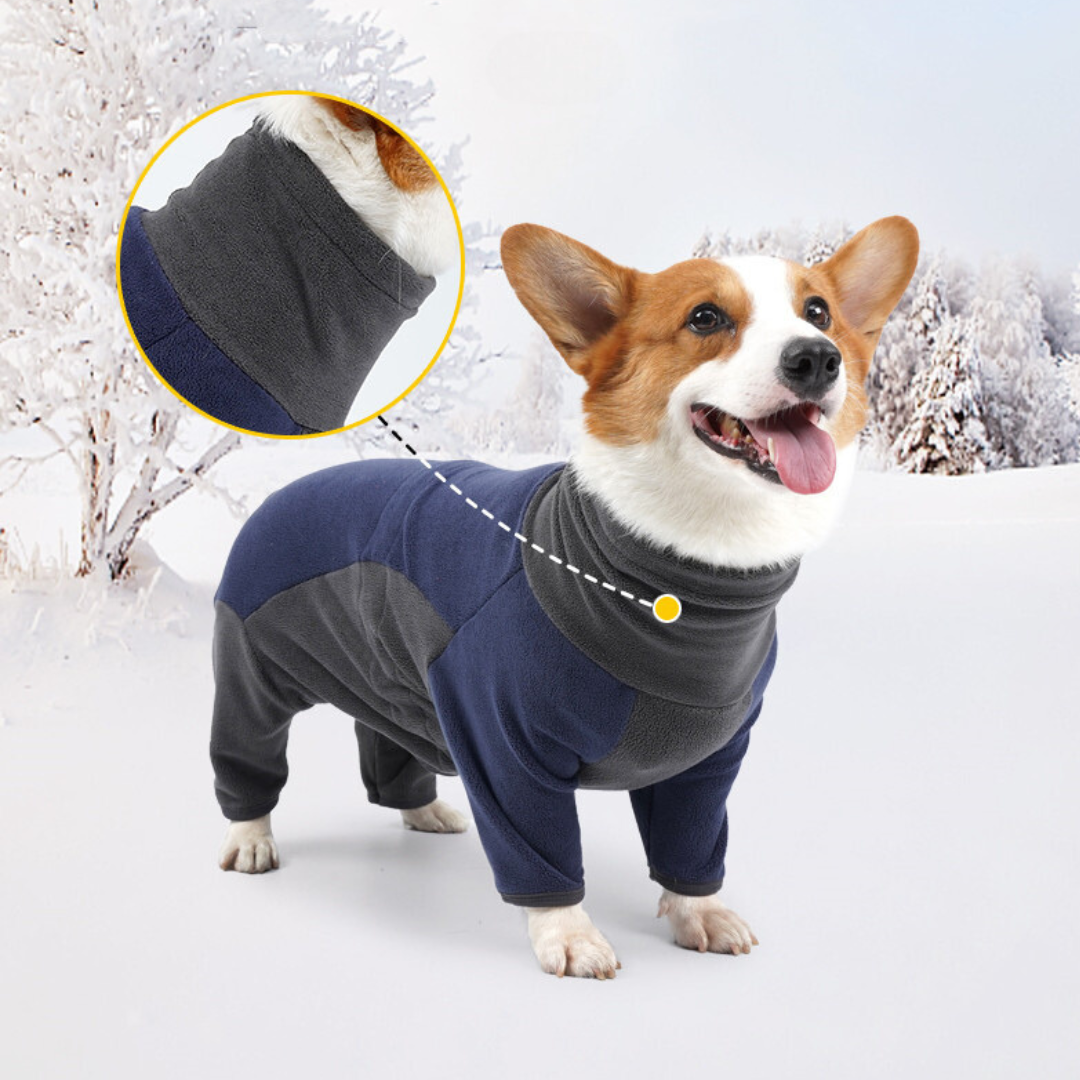 Teo | Hondenjas Winter Voor Comfortabele Warmte-5