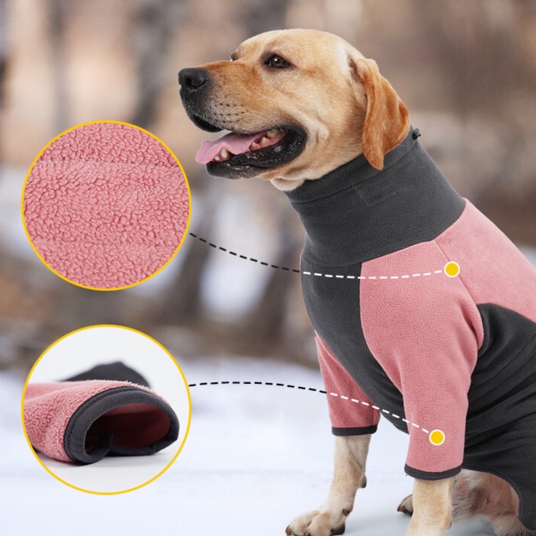 Teo | Hondenjas Winter Voor Comfortabele Warmte-1