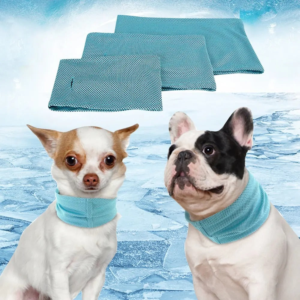 Thor | Koelband Voor Honden Zomer-5