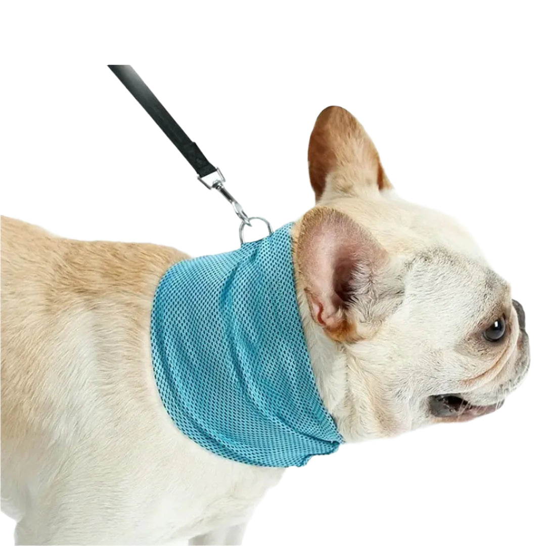 Thor | Koelband Voor Honden Zomer-4