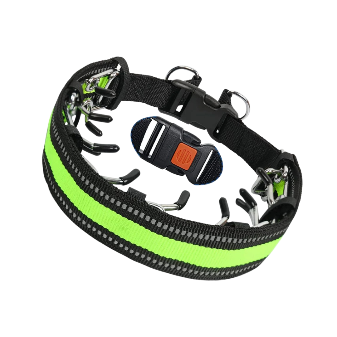 Trainingshalsband verstelbaar voor honden | Cody