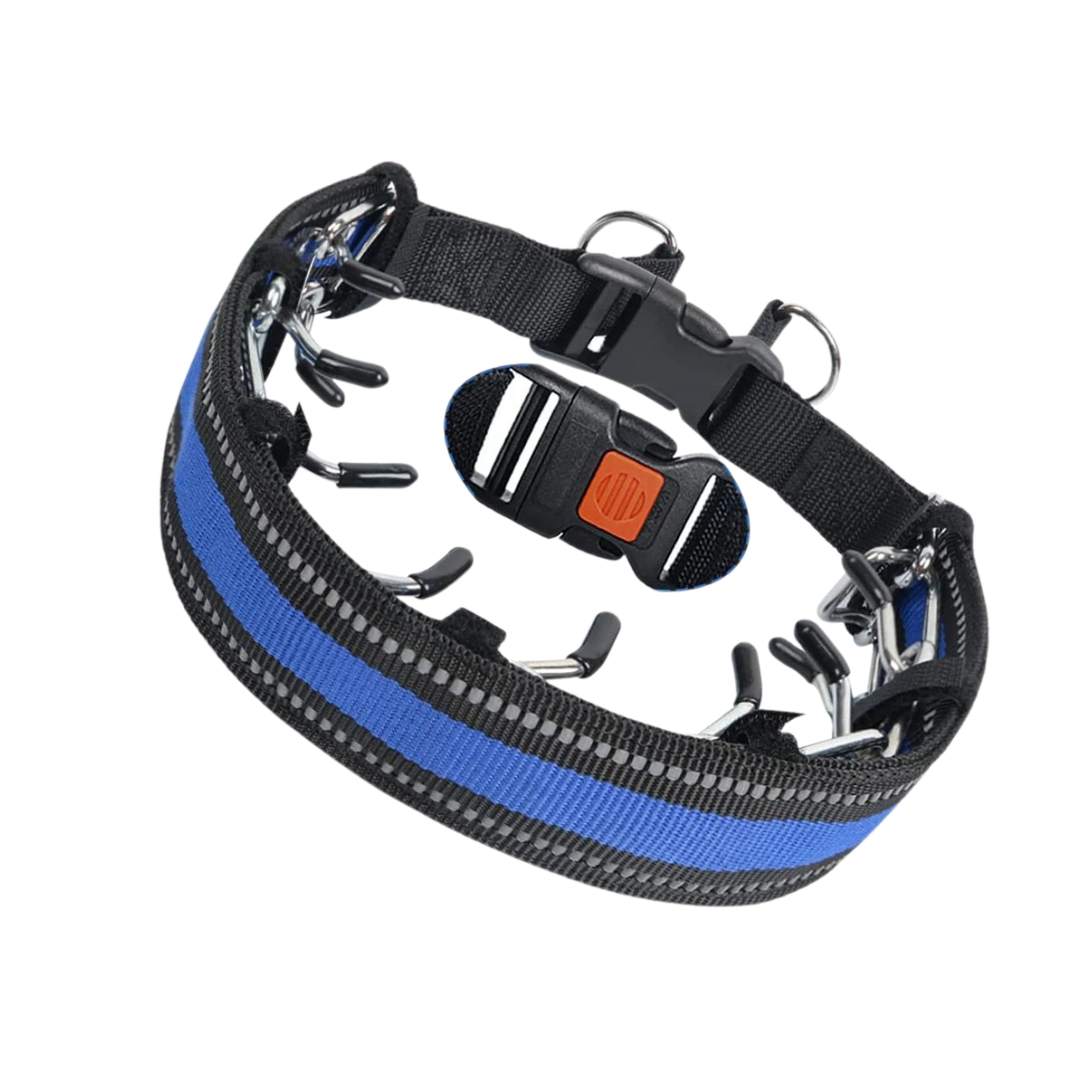 Trainingshalsband verstelbaar voor honden | Cody
