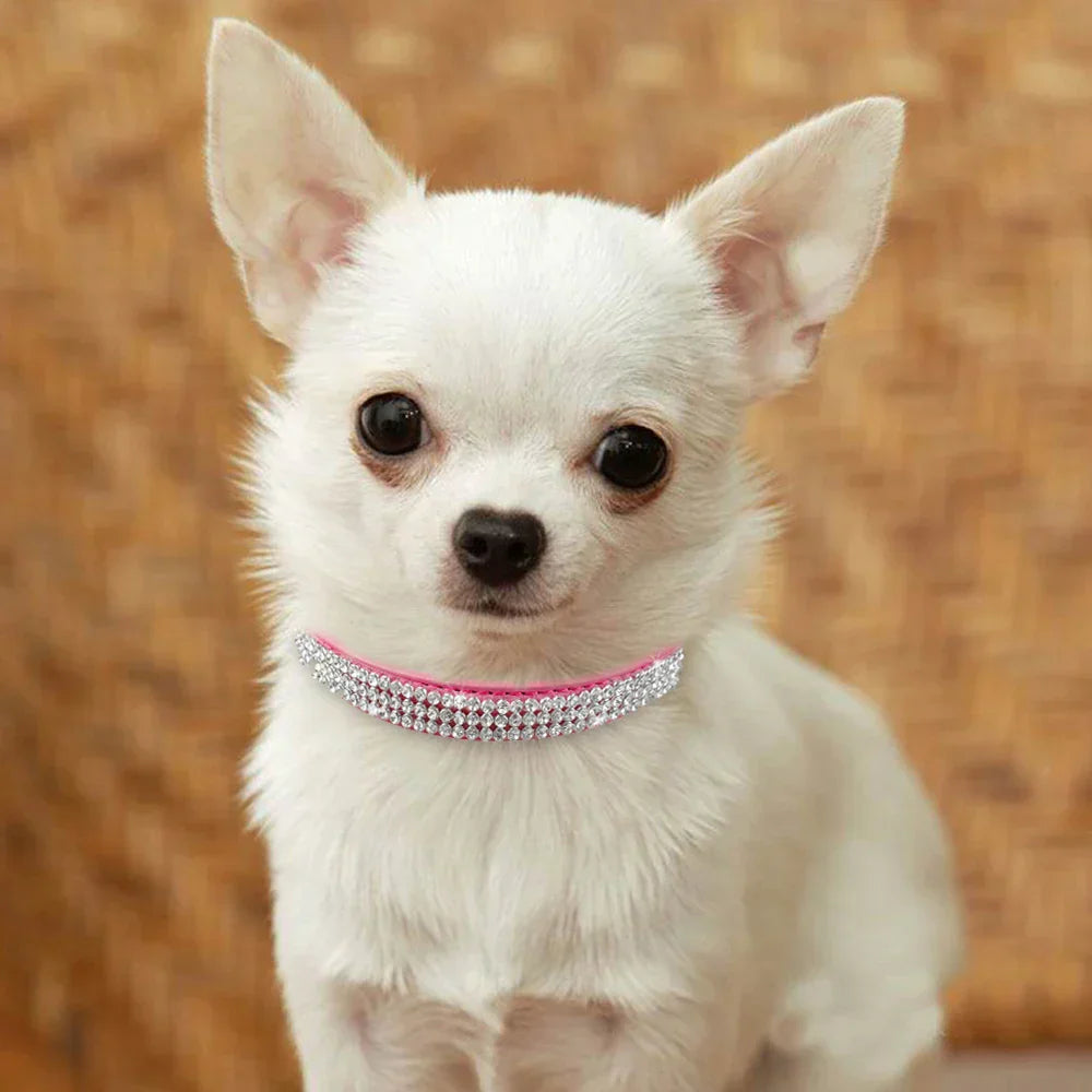 Yuki | Hondenhalsband met glinsterende details