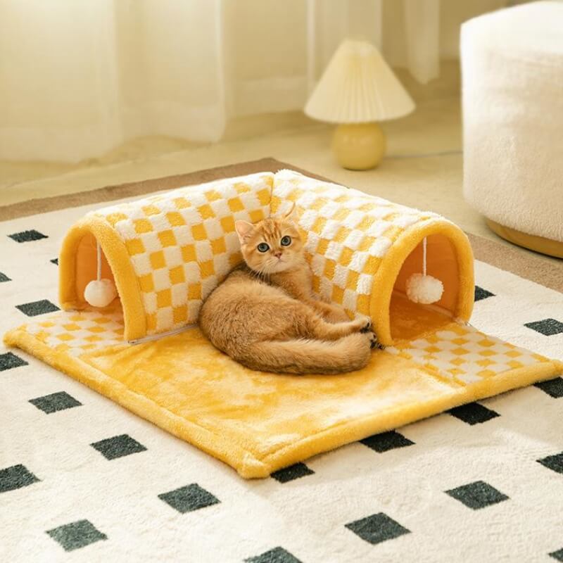 Yumi | Speeltunnel voor katten en kittens-1