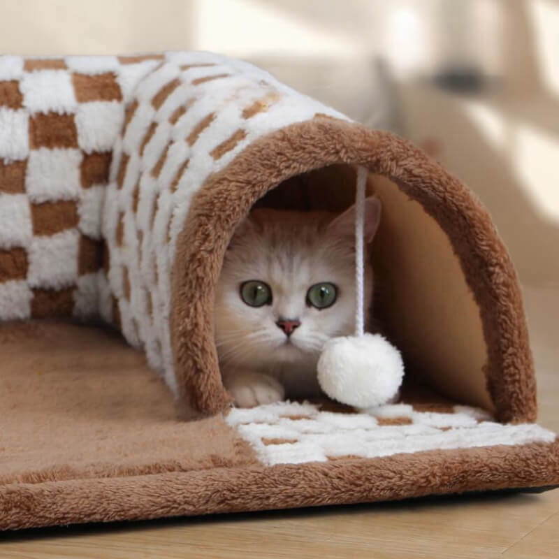 Yumi | Speeltunnel voor katten en kittens-2