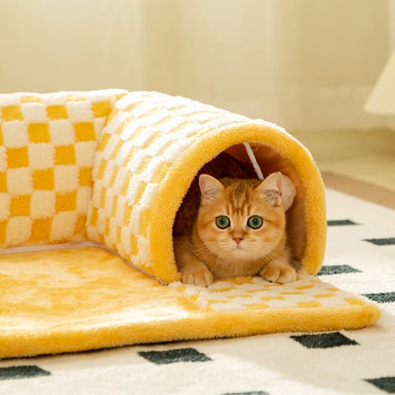 Yumi | Speeltunnel voor katten en kittens-4