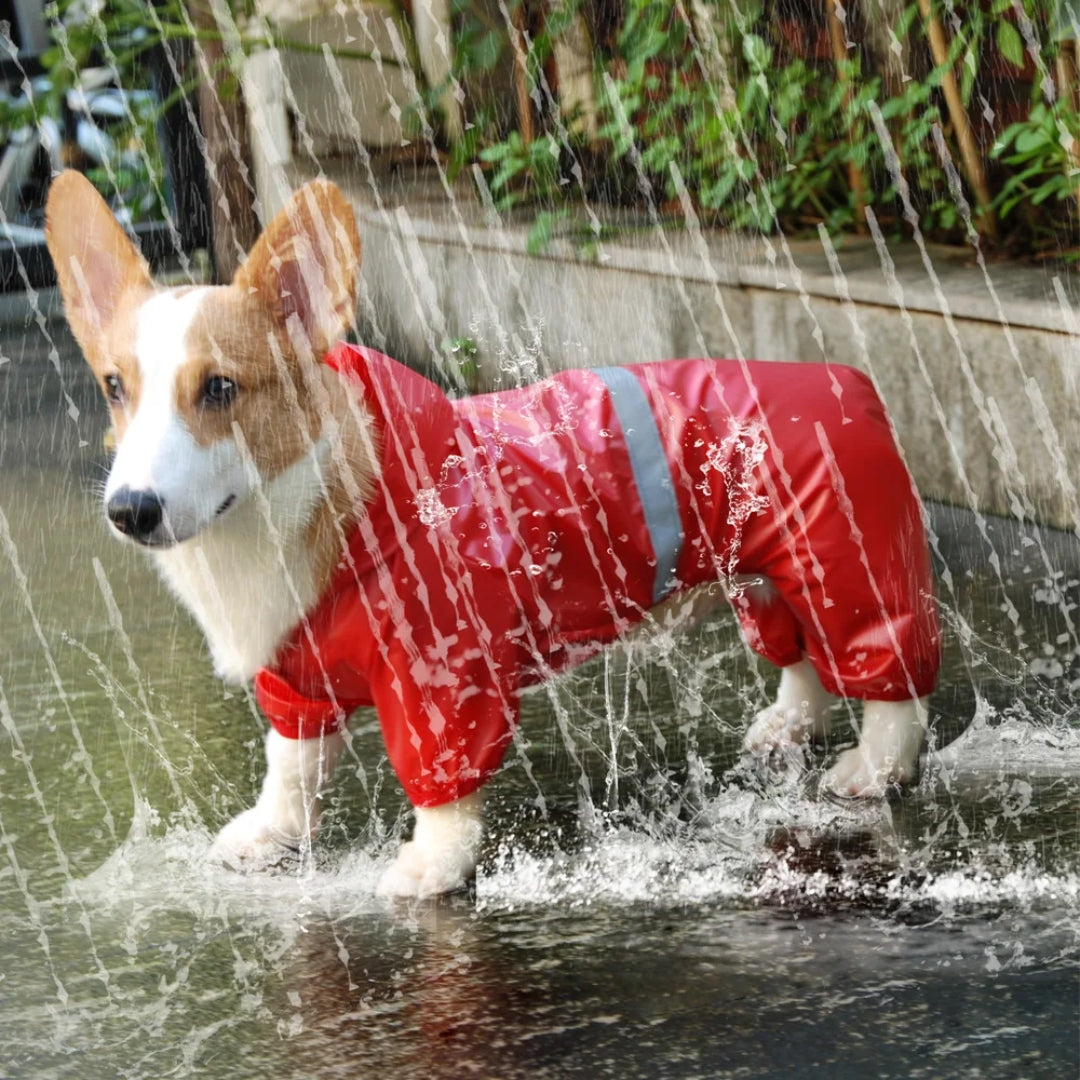 Zoe | Waterafstotende hondenjas voor wandeling