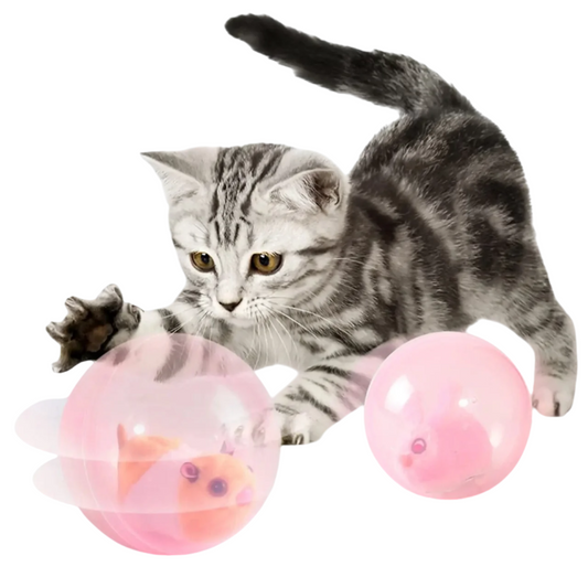 Abby | Interactieve spelbal voor katten en honden