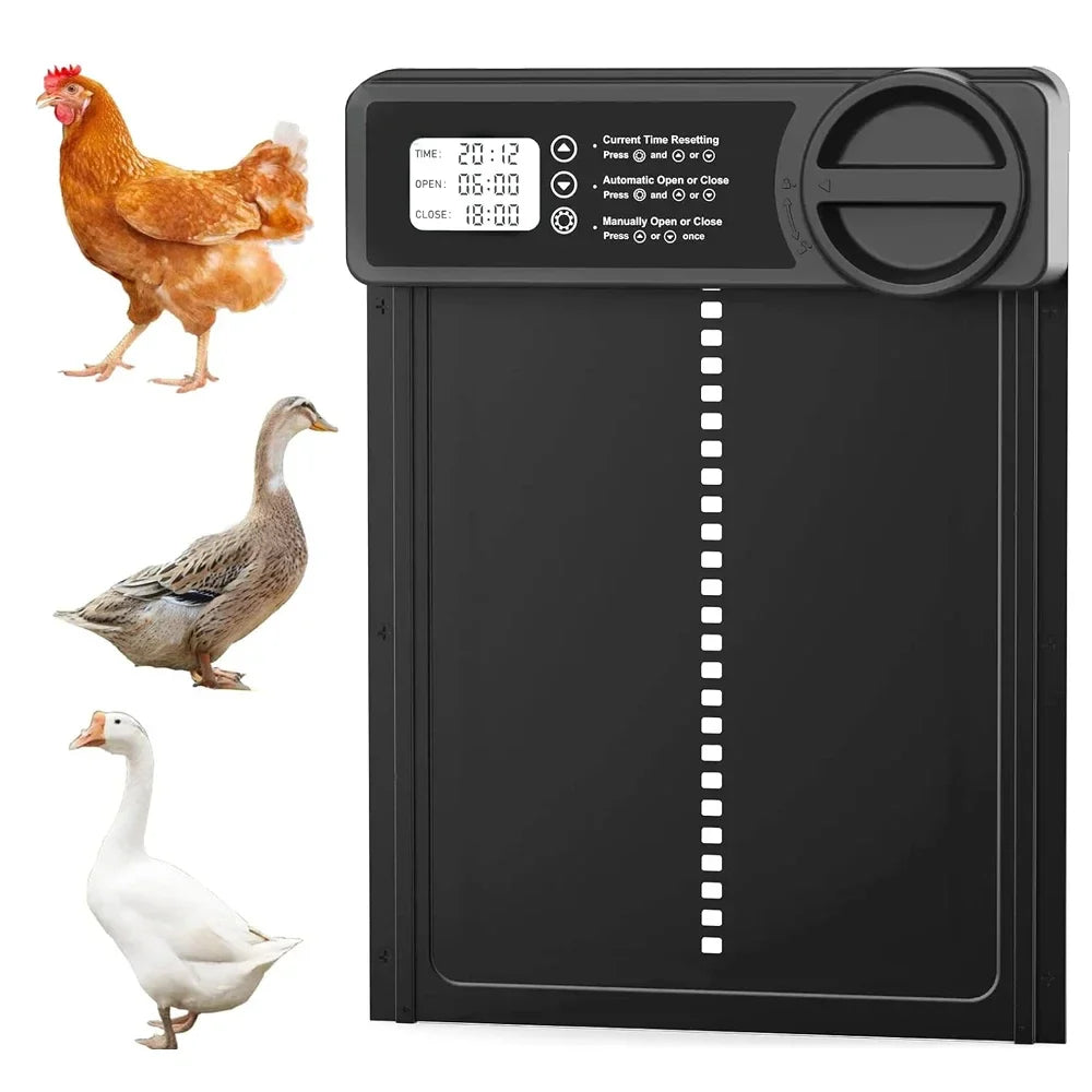 Automatisch kippenluik met instelbare timer | CoopGuard