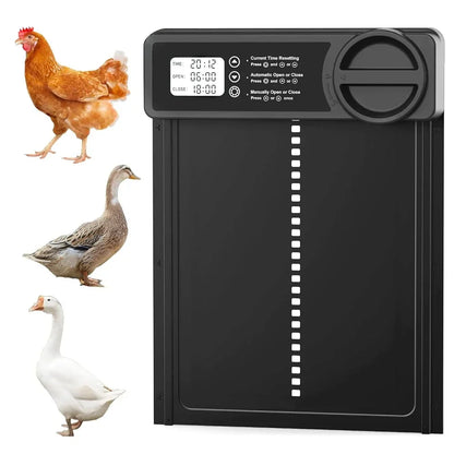 Automatisch kippenluik met instelbare timer | CoopGuard