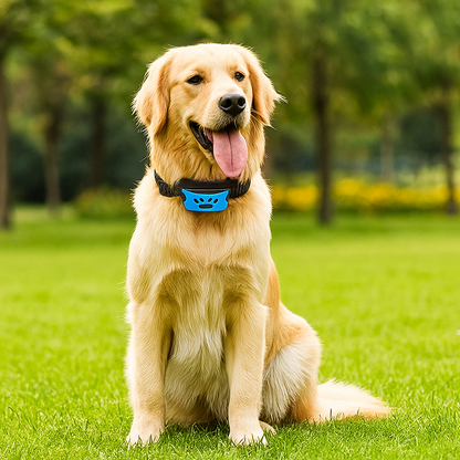 Automatische anti-blaf halsband voor honden | Toby