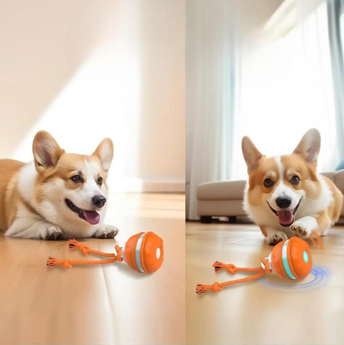 Blaze hondenspeelbal | Interactieve speelbal die honden actief bezighoudt