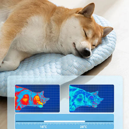 Blue | Honden koelmat voor stressverlichting-3