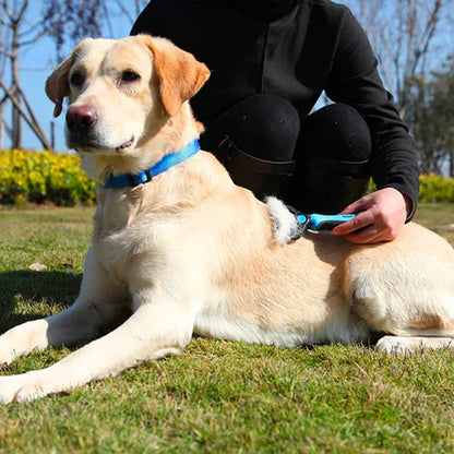 Borstel voor honden Pipi | Ontworpen om knopen soepel los te maken