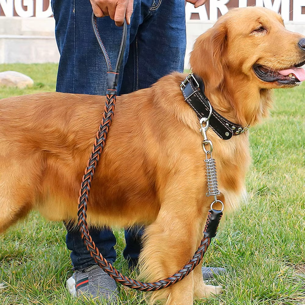 Buddy | Leren Hondenriem voor Comfortabele Wandeling-1