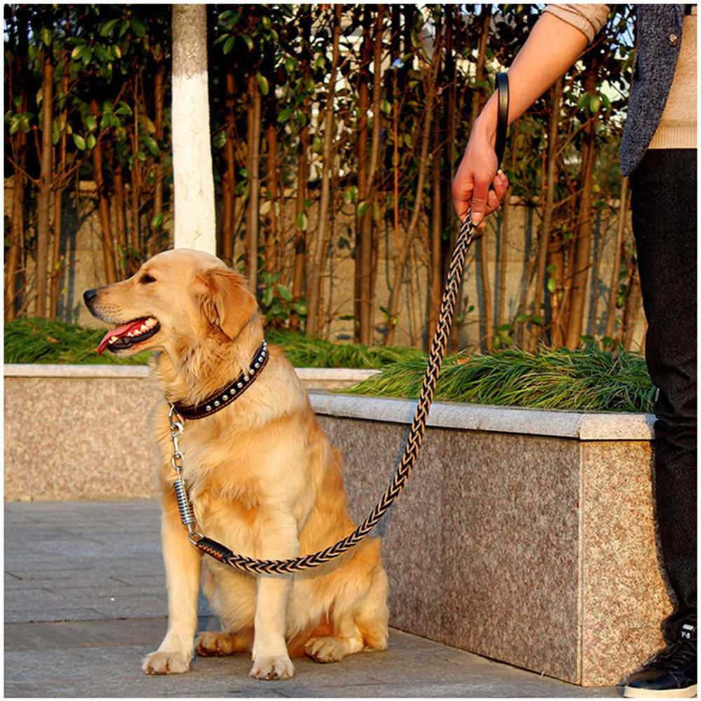 Buddy | Leren Hondenriem voor Comfortabele Wandeling-5