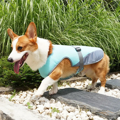 Chloe | Hondenkoelingsvest Voor Zomerplezier-1