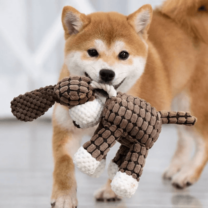 Dotje | Kauwspeelgoed Voor Honden Met Tandverzorging-2
