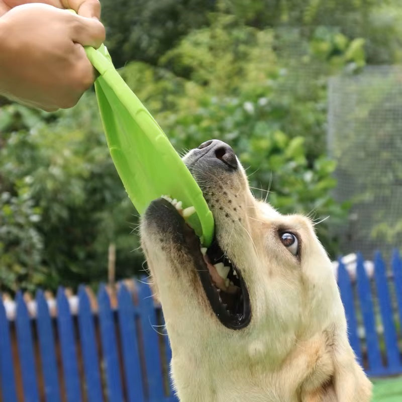 Felix | Actieve Hond Frisbee Voor Eindeloos Plezier-2