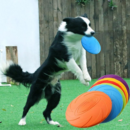 Felix | Actieve Hond Frisbee Voor Eindeloos Plezier-1