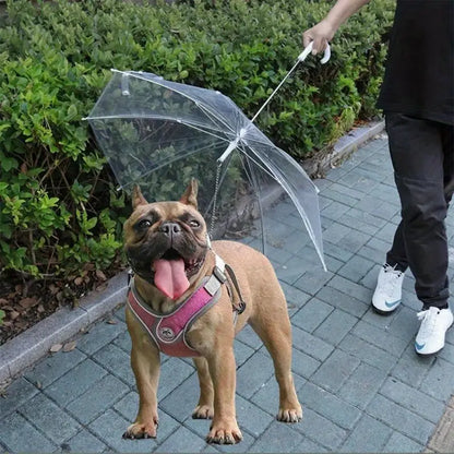 Finn | Hondenparaplu Voor Droge Wandeling-6