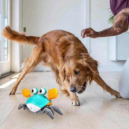 Floris Interactief krab hondenspeelgoed