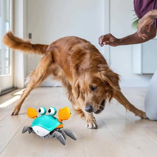 Floris Interactief krab hondenspeelgoed