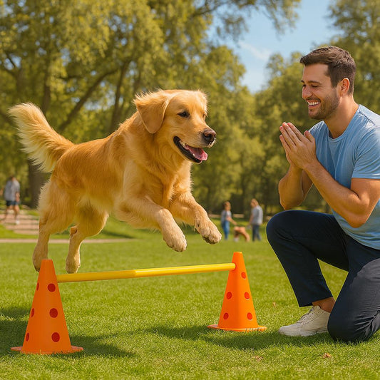 Hondentraining agility set met kunststof kegels en stangen | Vetrion