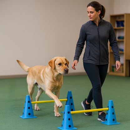 Hondentraining agility set met kunststof kegels en stangen | Vetrion