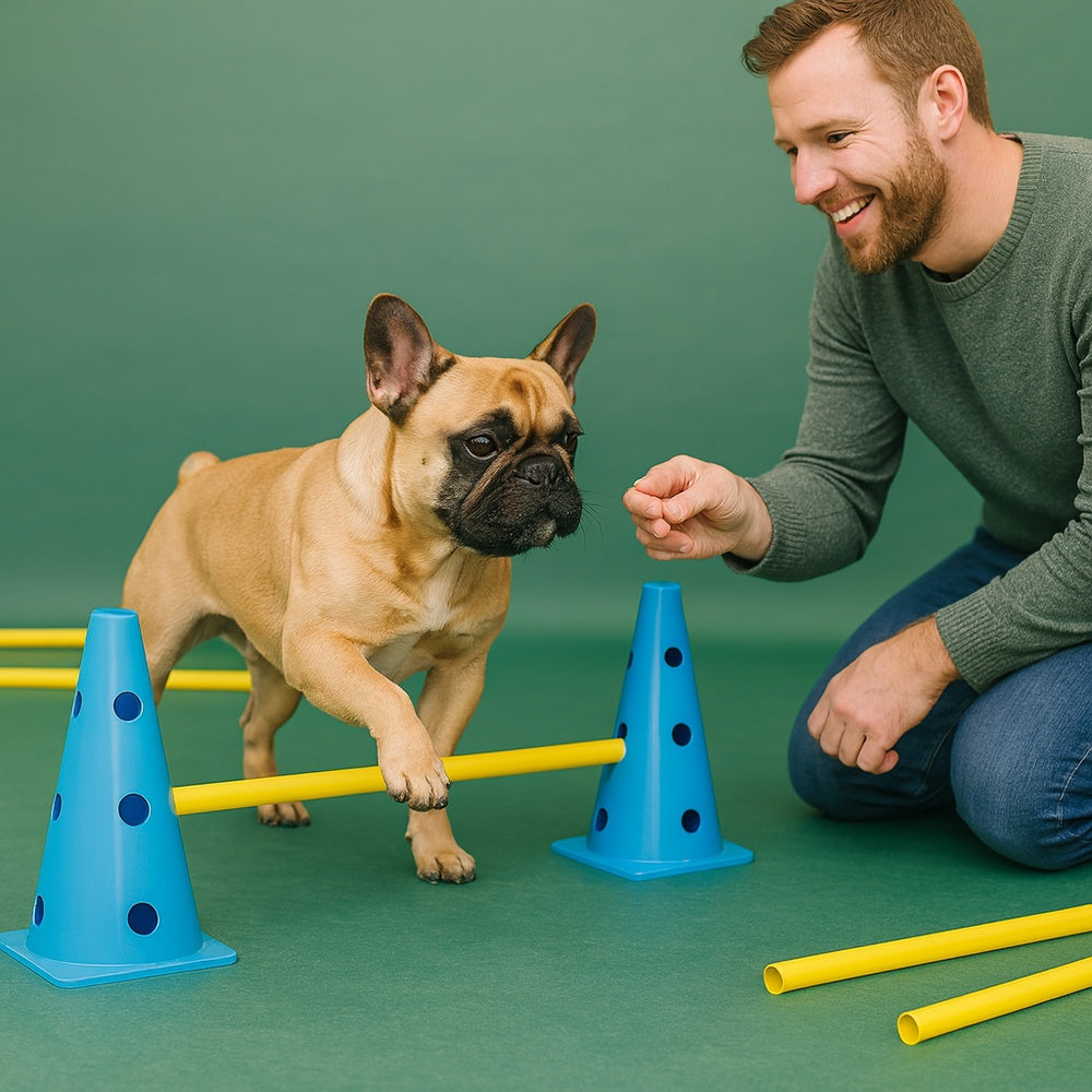 Hondentraining agility set met kunststof kegels en stangen | Vetrion