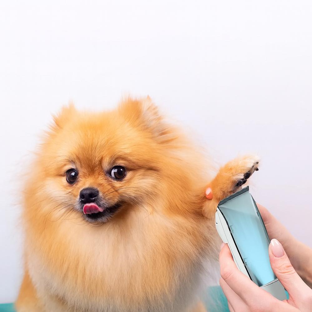 Hondentrimset met opvangsysteem en verzorgingsaccessoires | Dogvac