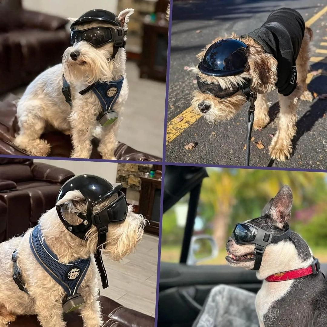 Joe | Veiligheidshelm Voor Honden-3