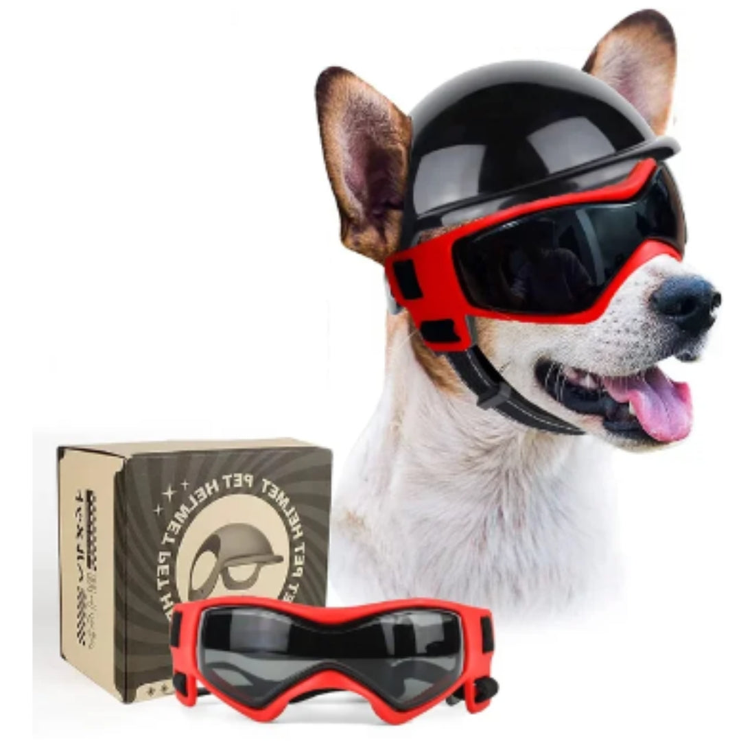 Variant image for Joe | Veiligheidshelm Voor Honden-3