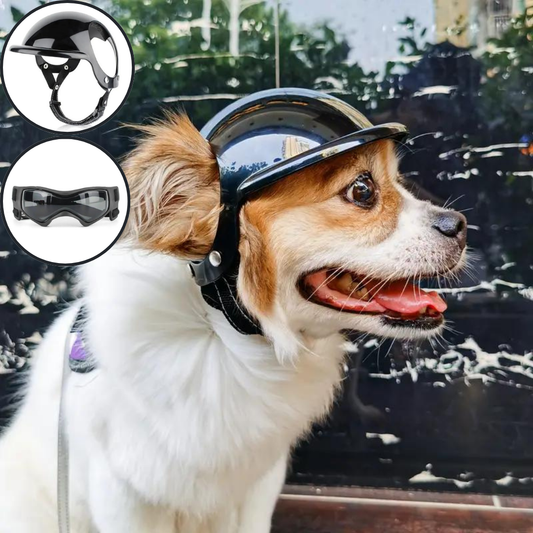 Joe | Veiligheidshelm Voor Honden-1