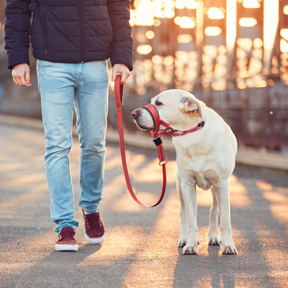 June Ademende Hondensnuit voor Comfortabel Wandelen