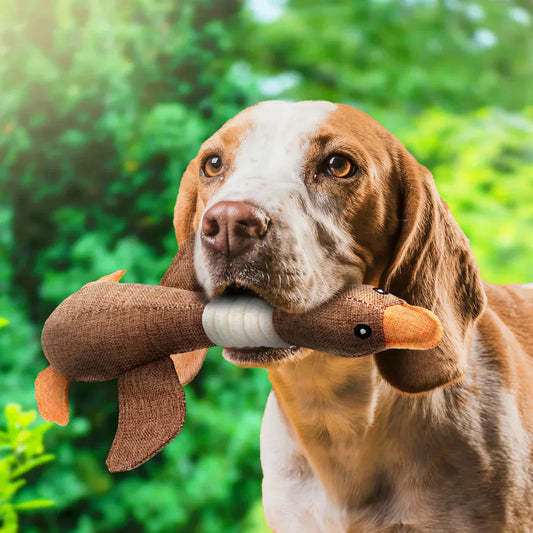 Luna Stevig kauwspeelgoed voor honden