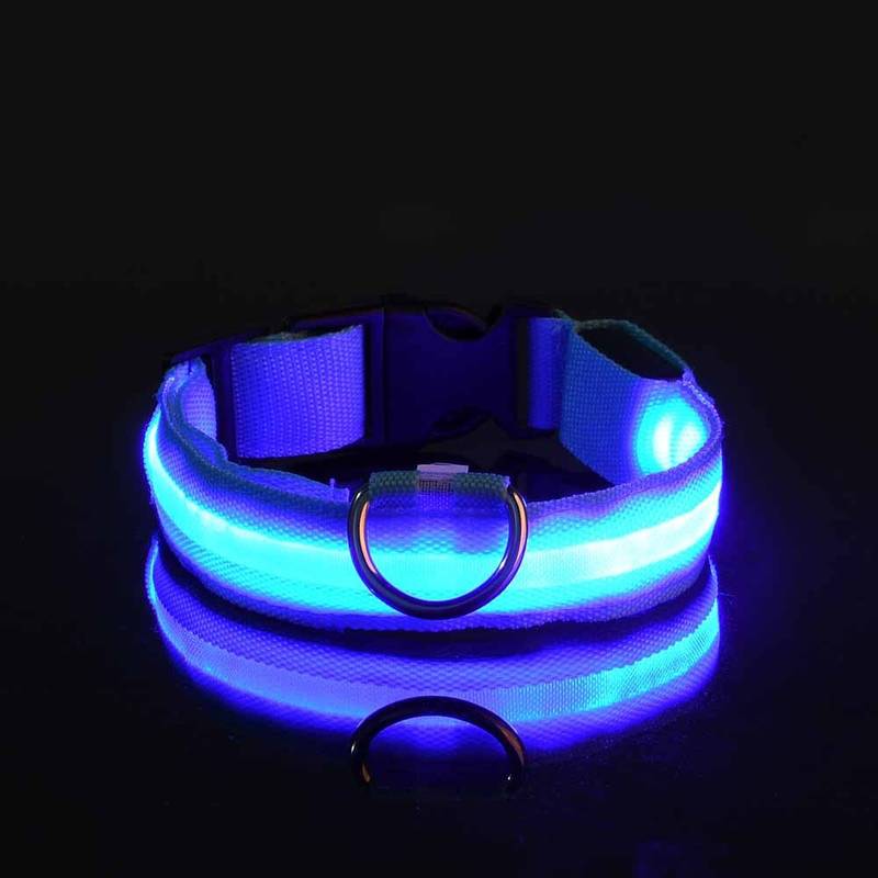 Miro LED Hondenhalsband Voor Avondwandelingen